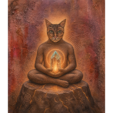 Enlighten Cat