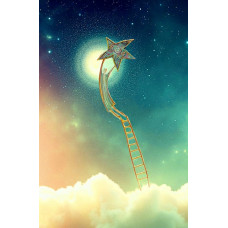Dream Ladder Star Catcher Dream Ladder Star Catcher